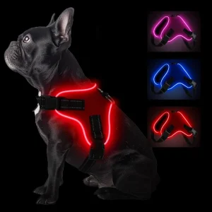 Adjustable Light Up Dog Harness Led No Pull Reflective Dog Vest