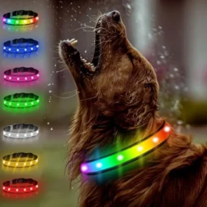 Rechargeable LED Light Up Dog Collar