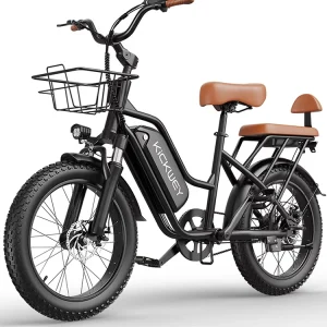 E-Bike 2025 Model W/Small Passenger/Cargo Seat