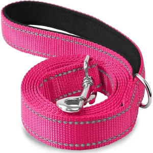 Night Reflection Pet Walking Leash