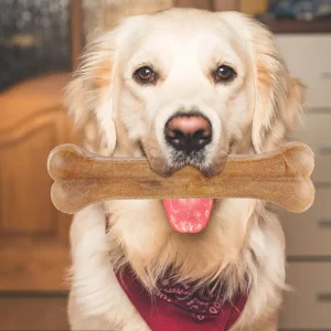 Teeth Clean Stick Non-Toxic Leather Chew Bone