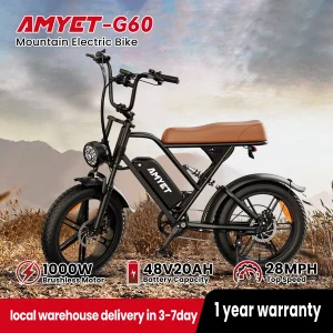Electric Bike Long seat